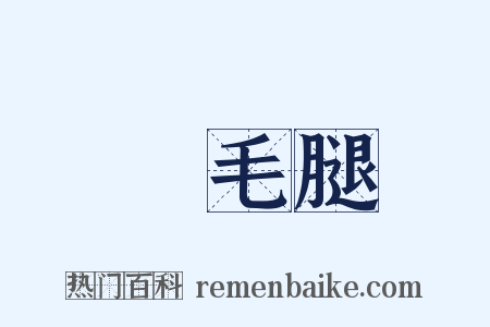 飛毛腿是什么意思的图片